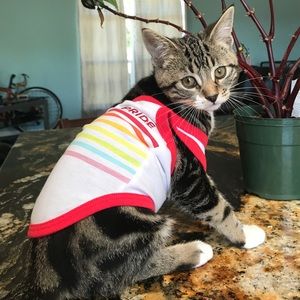 Meet your Posher, Heidi